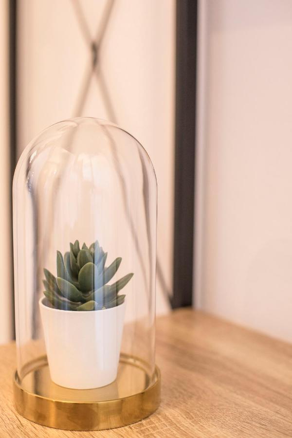 Homey Experience - Navy Sea View Apartments Olbia Bagian luar foto